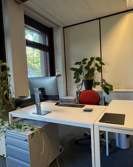 Ein helles Büro mit einem weißen Schreibtisch, auf dem ein Dell-Computer und eine Topfpflanze stehen.